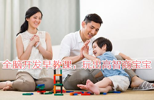全脑开发早教课，玩出高智商宝宝