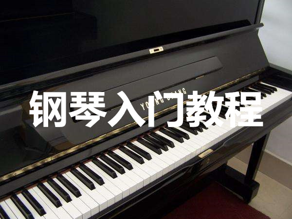钢琴入门教程